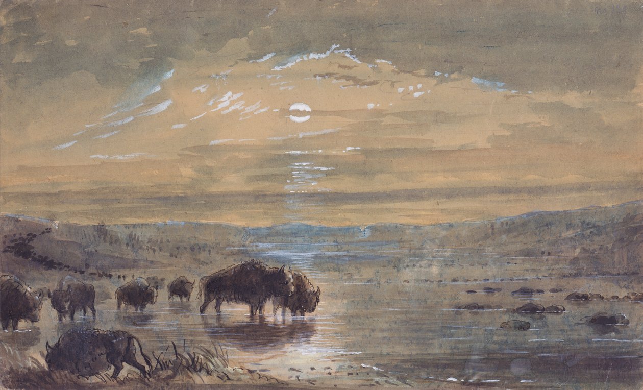 Night Scene, Buffaloes on the Prairie, n.1837 (akvarelli paperille) tekijältä Alfred Jacob Miller