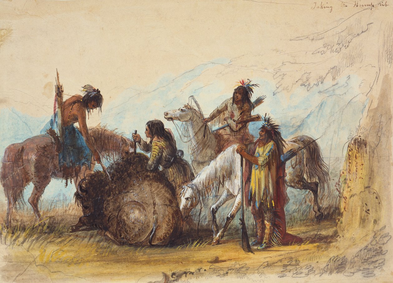 Taking the Hump Rib, n. 1858 (kynä, akvarelli ja guassi paperille) tekijältä Alfred Jacob Miller