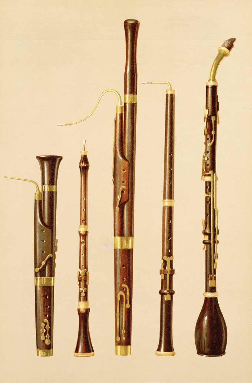 Dulcian, oboe, fagotti, oboe da caccia ja bassettorvi, kappaleesta "Musical Instruments" (värillinen lito) tekijältä Alfred James Hipkins