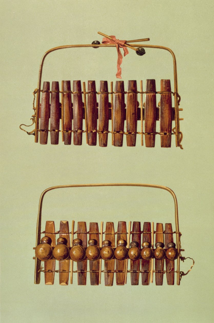Marimba, näkymä edestä ja takaa, eteläafrikkalainen, kokoelmasta "Musical Instruments" (värillinen lito) tekijältä Alfred James Hipkins