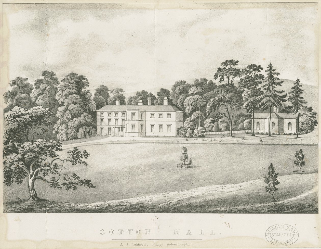 Puuvilla - Hall: litografia ja [1800-luku] tekijältä Alfred Jolly Caldicott