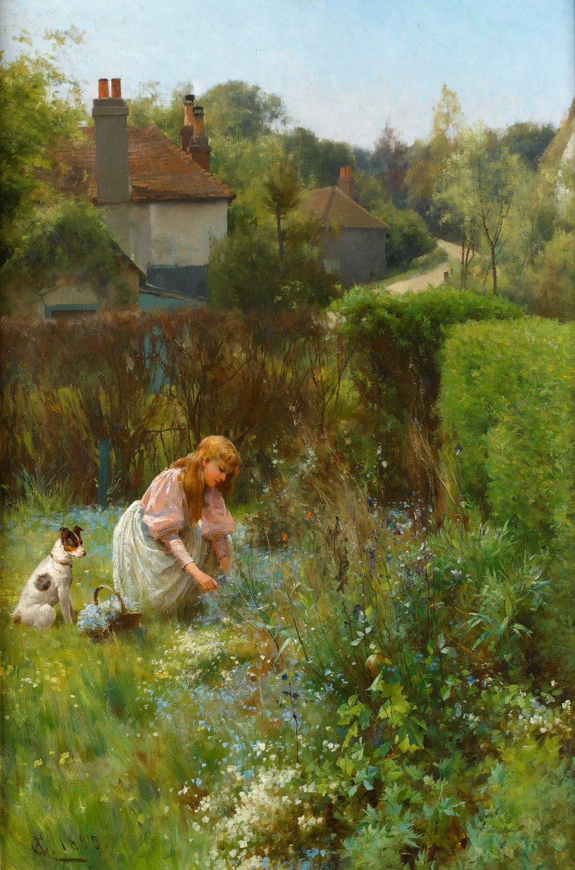 Villikukkien poimiminen pensasaitasta, 1895 tekijältä Alfred, Jr. Glendening
