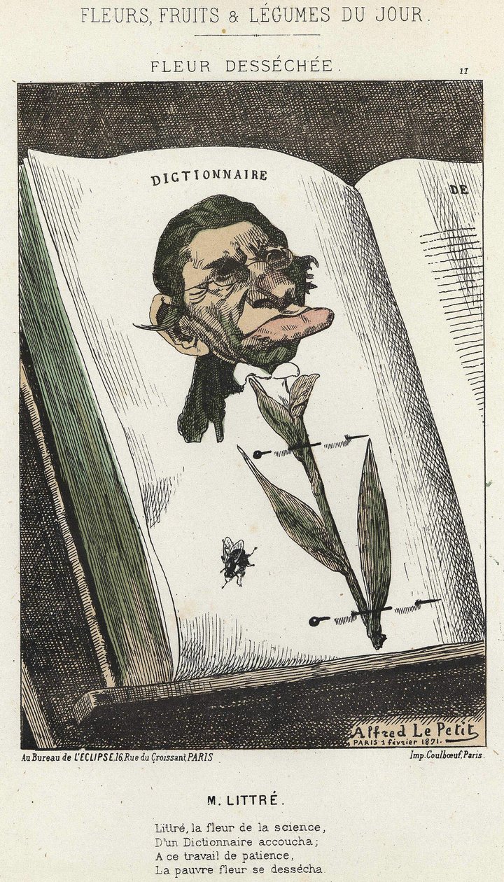 Déséchée-kukka: sarjakuva Littréstä - ill. 1.2.1871 alkaen "Päivän kukat, hedelmät ja vihannekset" tekijältä Alfred Le Petit