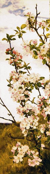 Omenankukka, noin 1880-86 (öljy paneelille). tekijältä Alfred Parsons