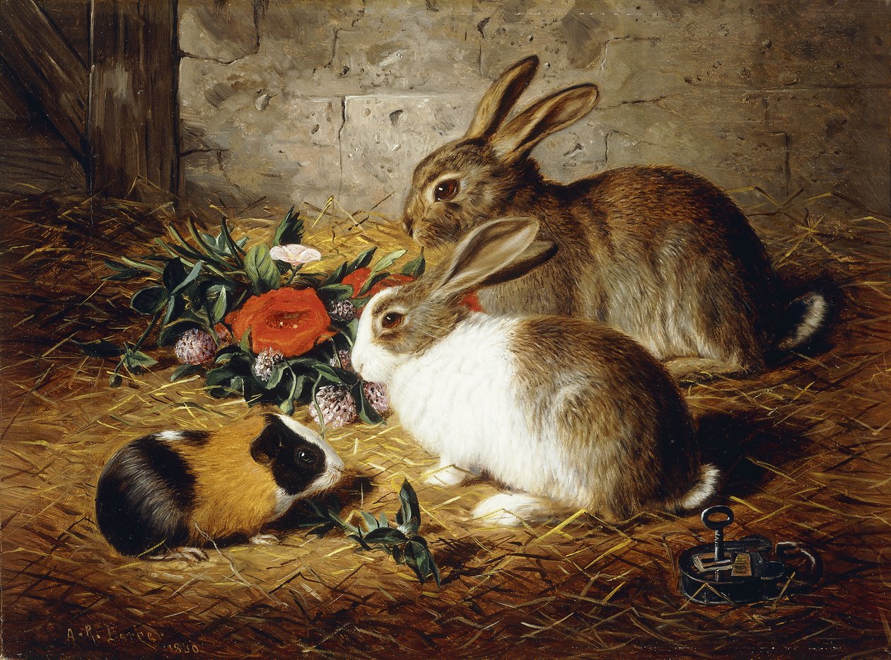 Paennut: Kaksi kania ja marsu, 1880 tekijältä Alfred R. Barber
