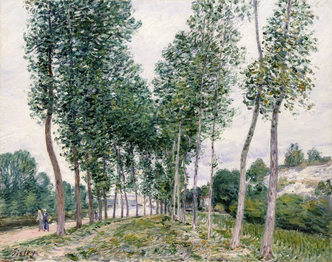 Poppelikuja Loingin varrella, 1892 tekijältä Alfred Sisley