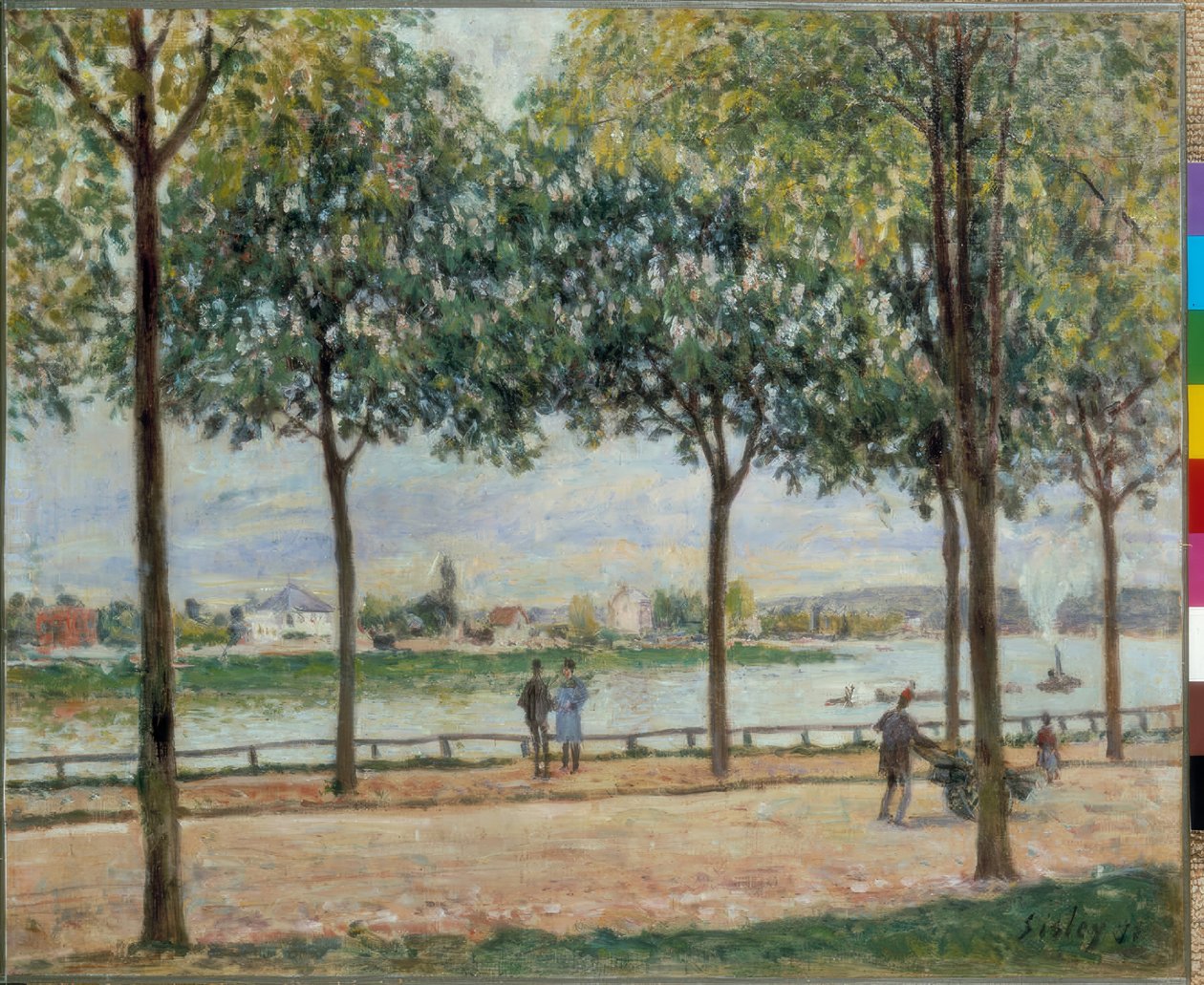 Kastanja kävelykatu tekijältä Alfred Sisley