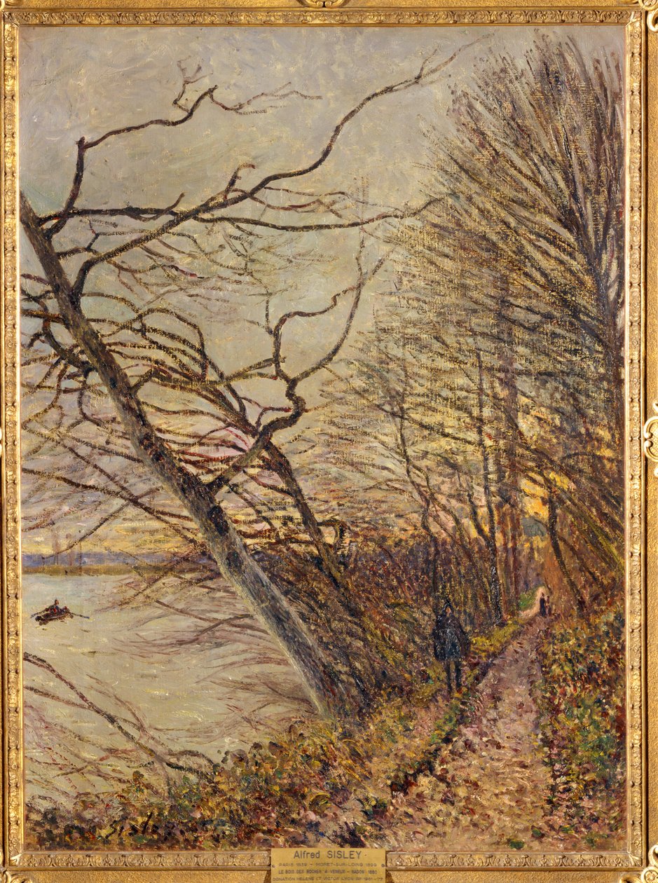 Le Bois des Roches, Veneux-Nadon ... tekijältä Alfred Sisley
