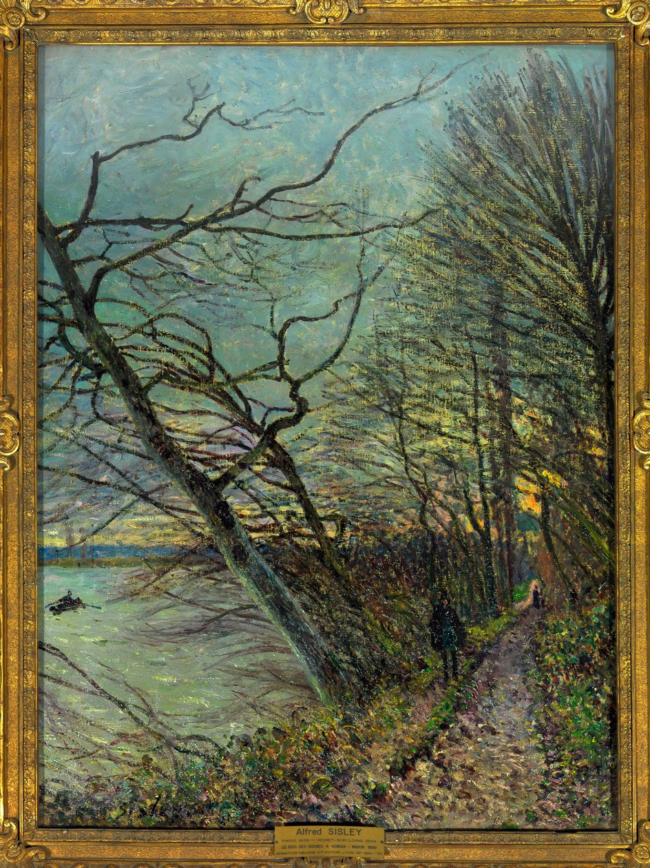 Bois des Roches, Veneux - Nadon (Veneux-les-Sablons), Seine et Marne Alfred Sisleyn maalaus (1839-1899) 1880 Dim 0,73 x 0,55 m Paris Louvre -museo Pakollinen maininta: Lahjoitus Helene ja Victor Lyon tekijältä Alfred Sisley