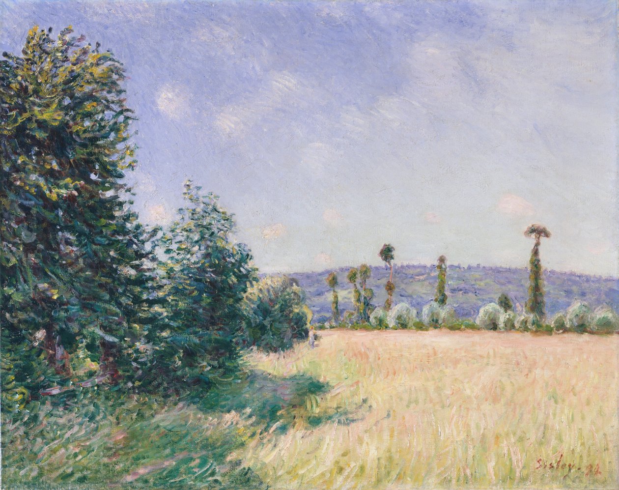 Sahurs Meadows aamuauringossa, 1894. tekijältä Alfred Sisley