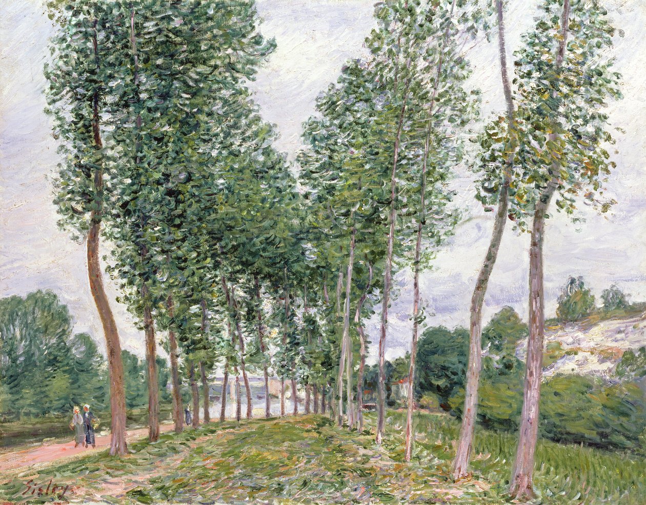 Poppelikatu Loingin rannoilla tekijältä Alfred Sisley