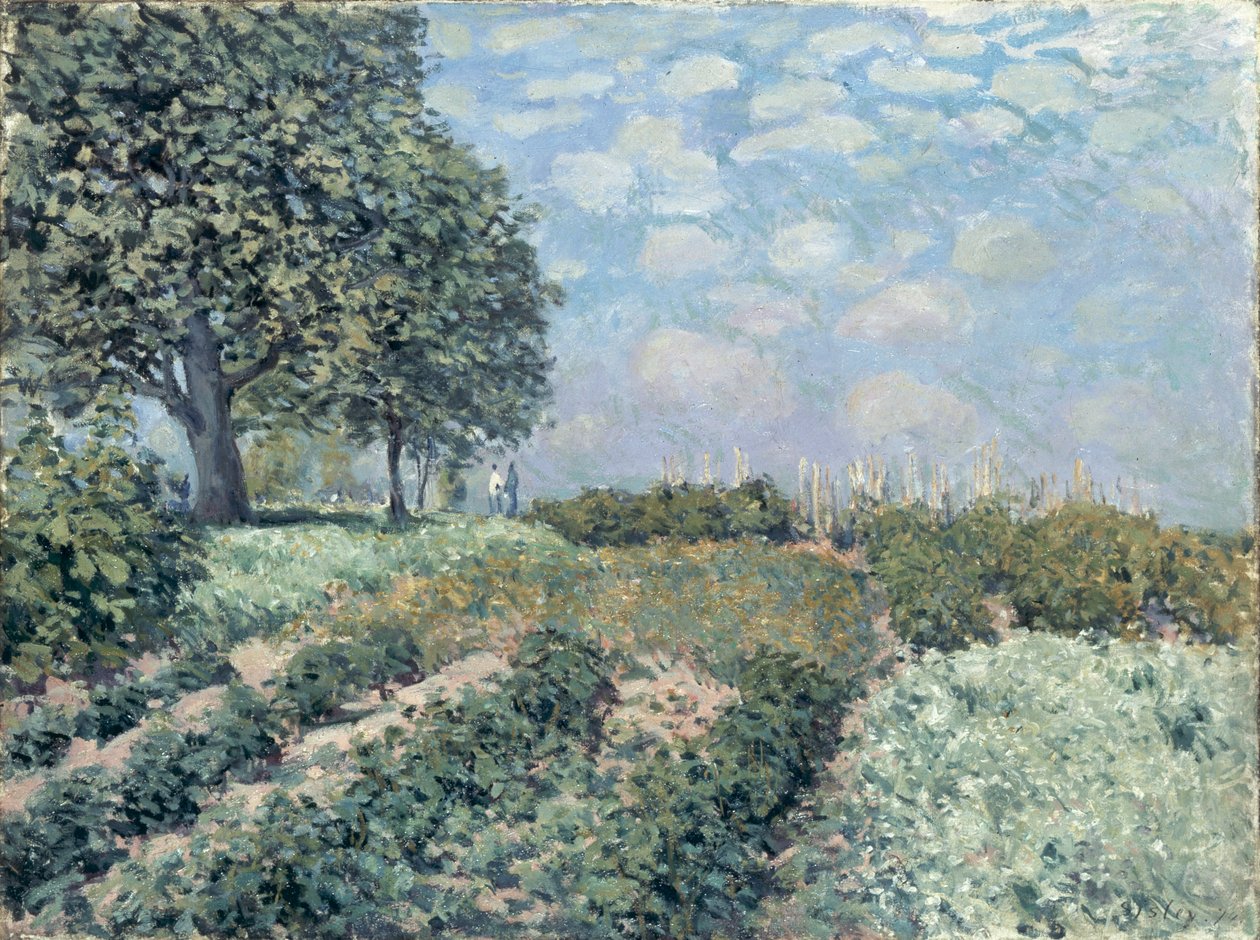 Market Gardens tekijältä Alfred Sisley