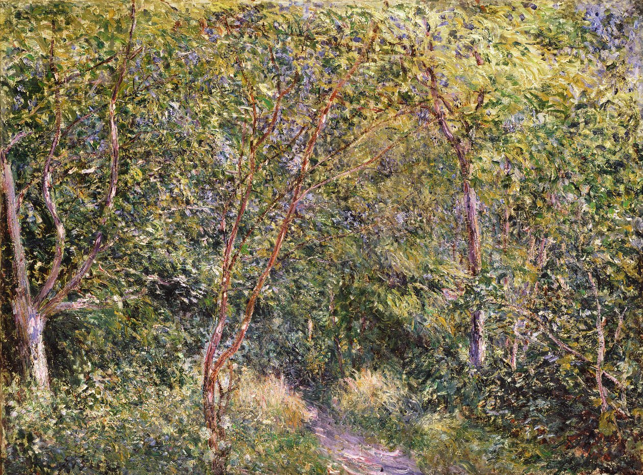 Tuntematon kuva tekijältä Alfred Sisley