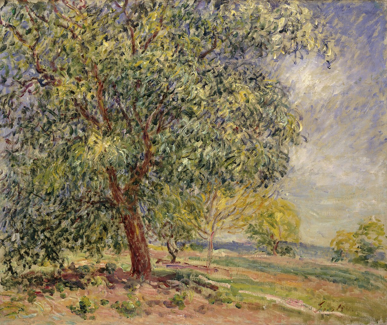 Pähkinäpuu Sablonsissa keväällä; Pähkinäpuut Les Sablonsissa, kevät, 1885 tekijältä Alfred Sisley