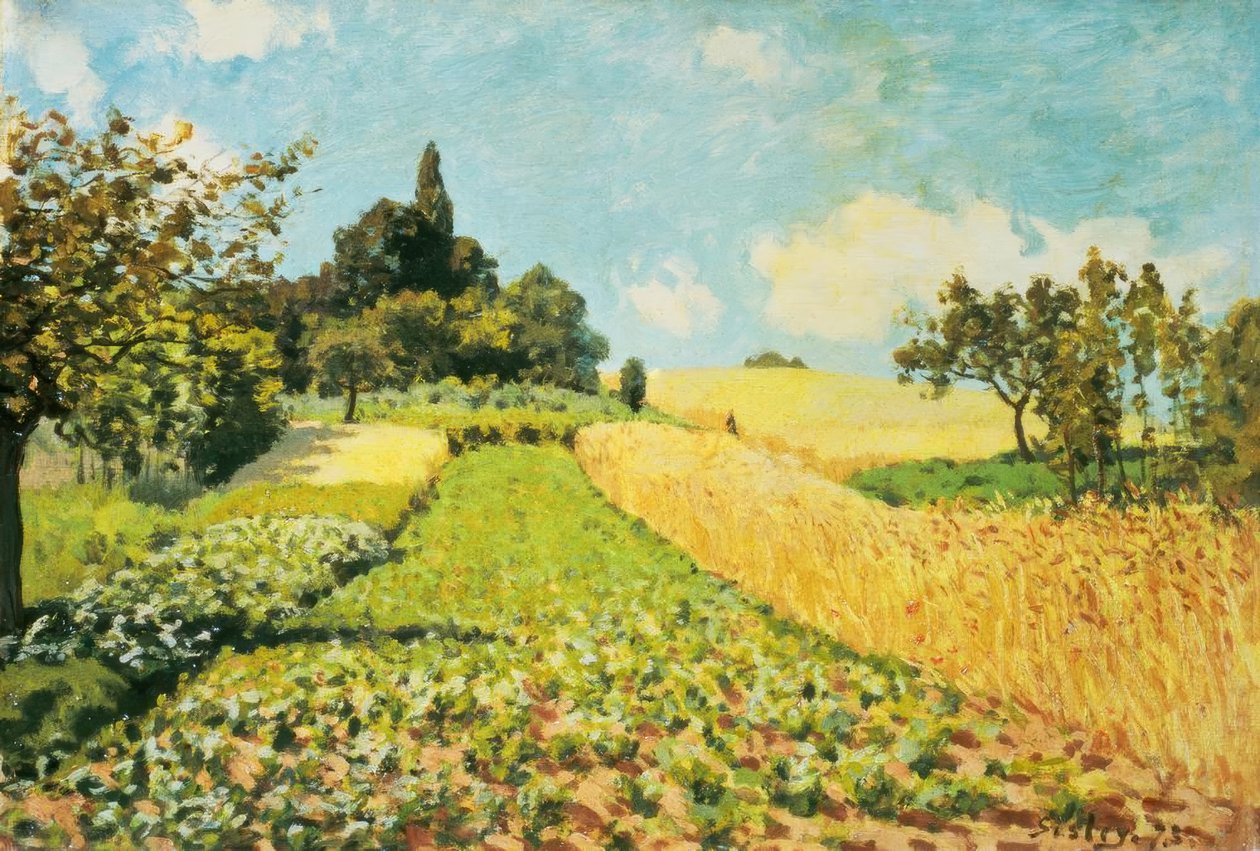 Weizenfeld tekijältä Alfred Sisley
