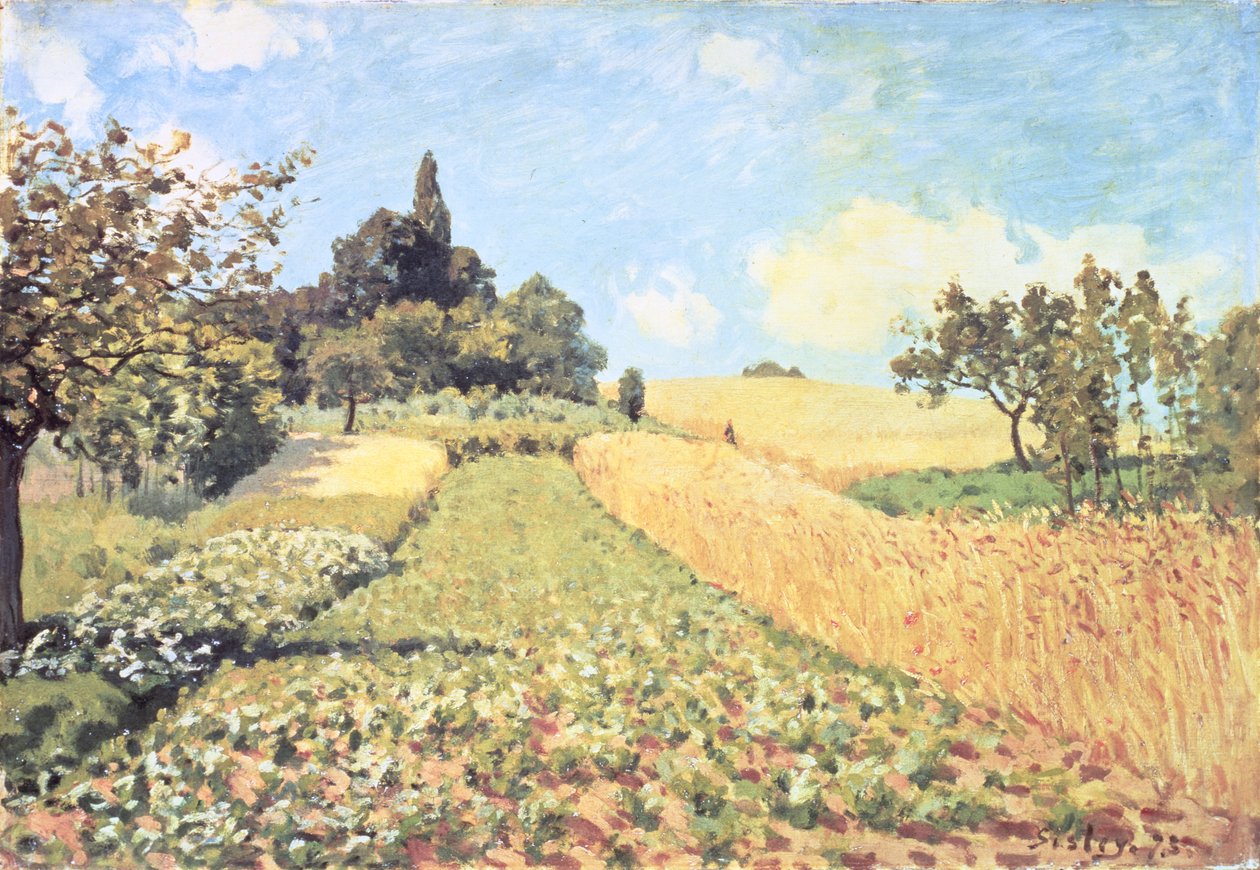 Vehnäpelto (öljy kankaalle) tekijältä Alfred Sisley