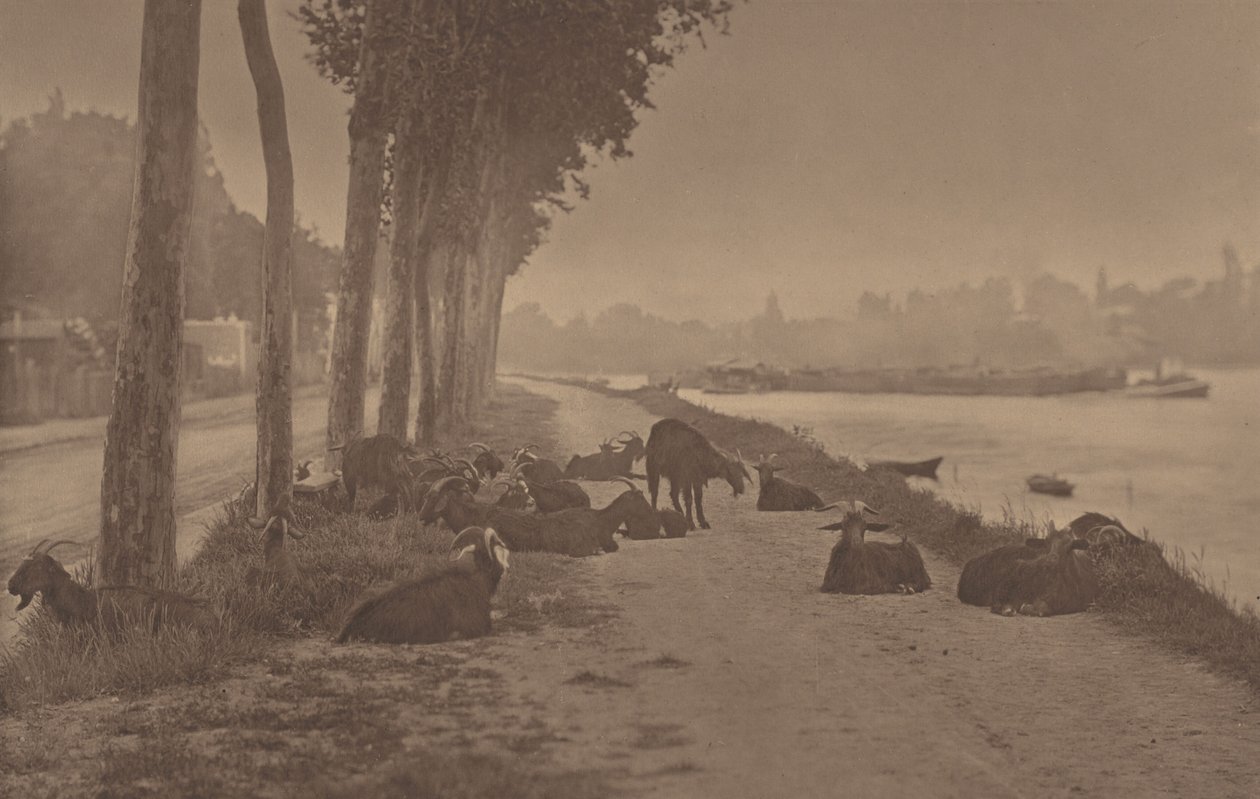 Koristepaneeli tekijältä Alfred Stieglitz