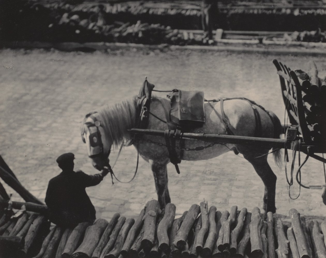 Katsaus, Pariisi tekijältä Alfred Stieglitz