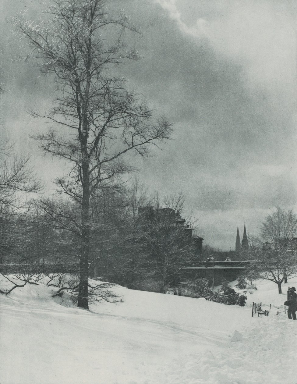 Talvinen taivas – Central Park tekijältä Alfred Stieglitz