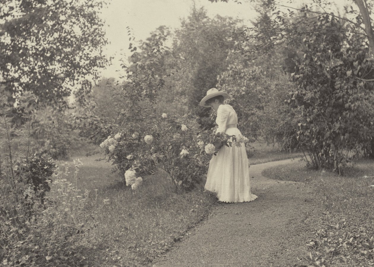 Oaklawnissa tekijältä Alfred Stieglitz