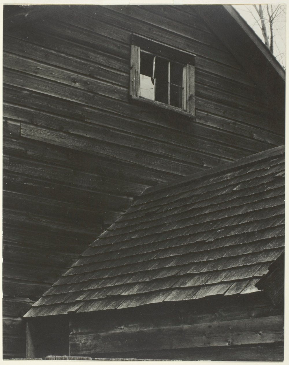 Navetta – Lake George tekijältä Alfred Stieglitz