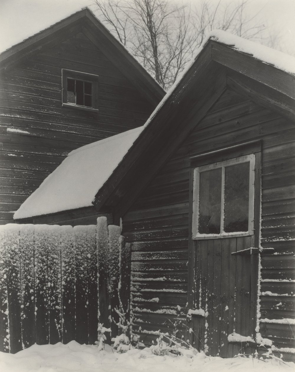 Lapset  lumi tekijältä Alfred Stieglitz