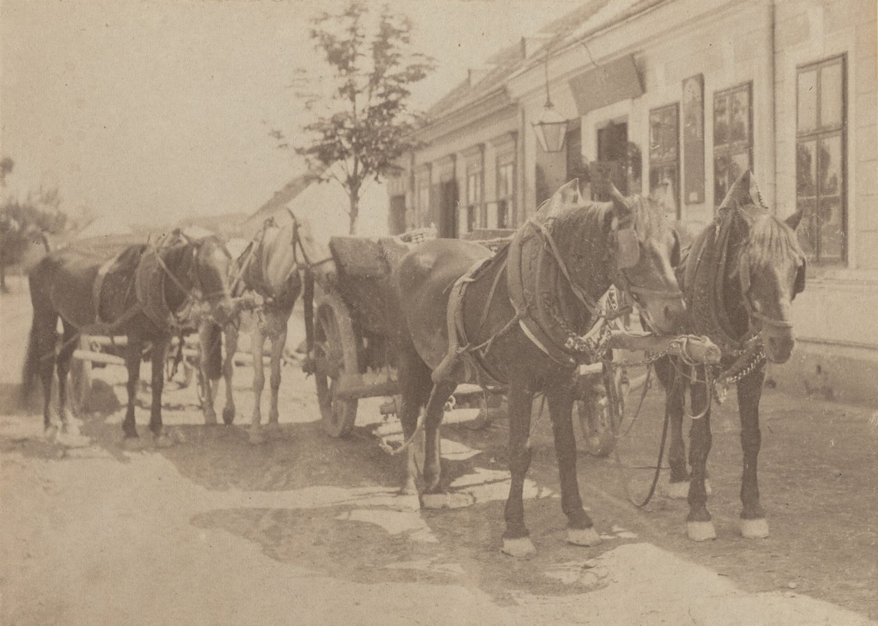 Ennen Tavernia tekijältä Alfred Stieglitz