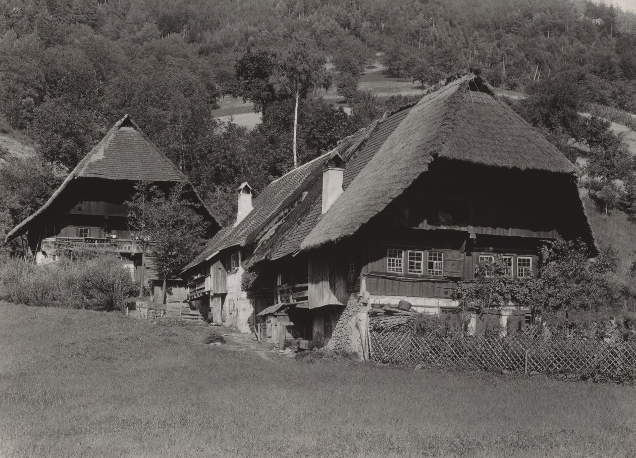 Schwarzwaldin talo tekijältä Alfred Stieglitz