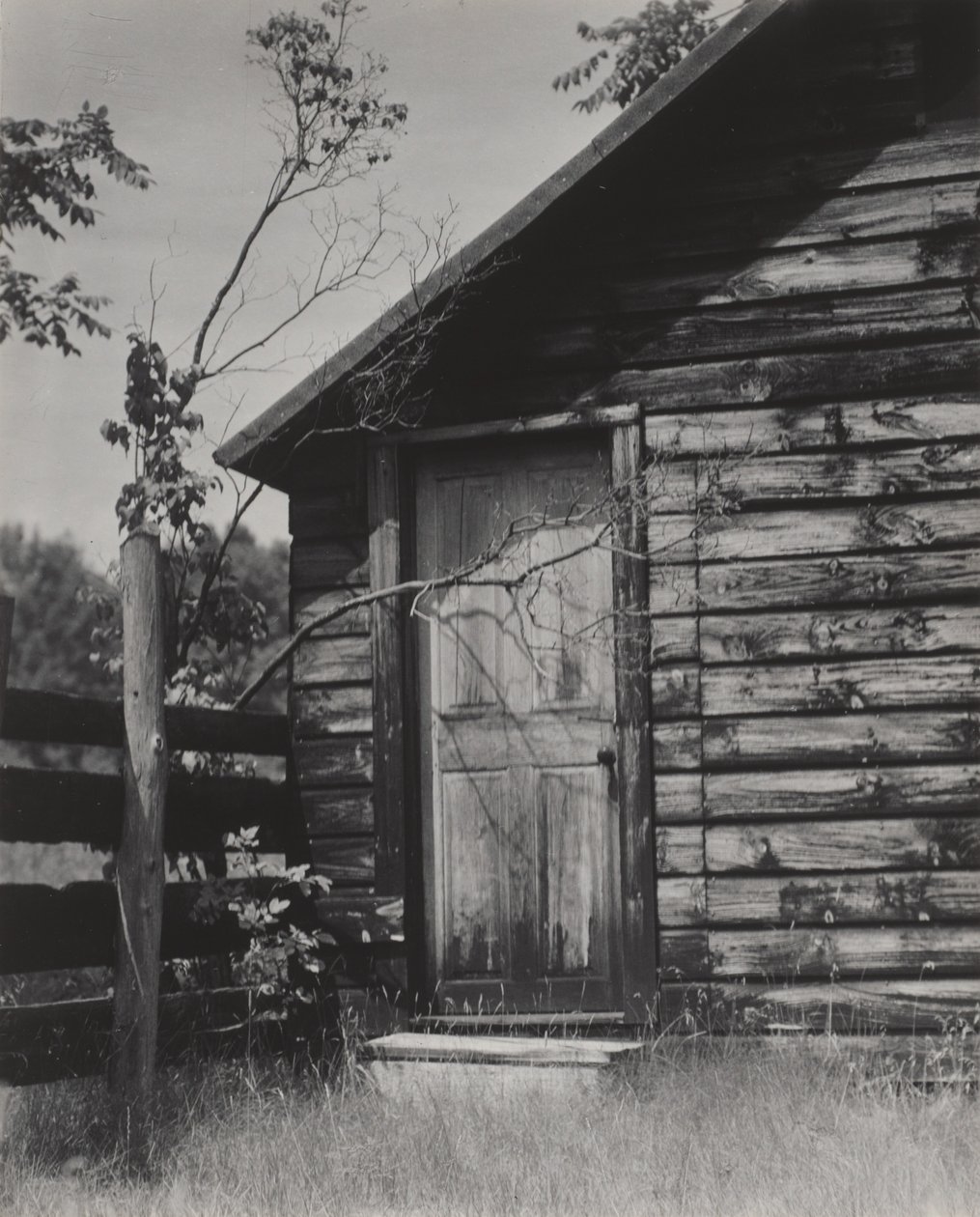 Hökkelin ovi, Lake George tekijältä Alfred Stieglitz