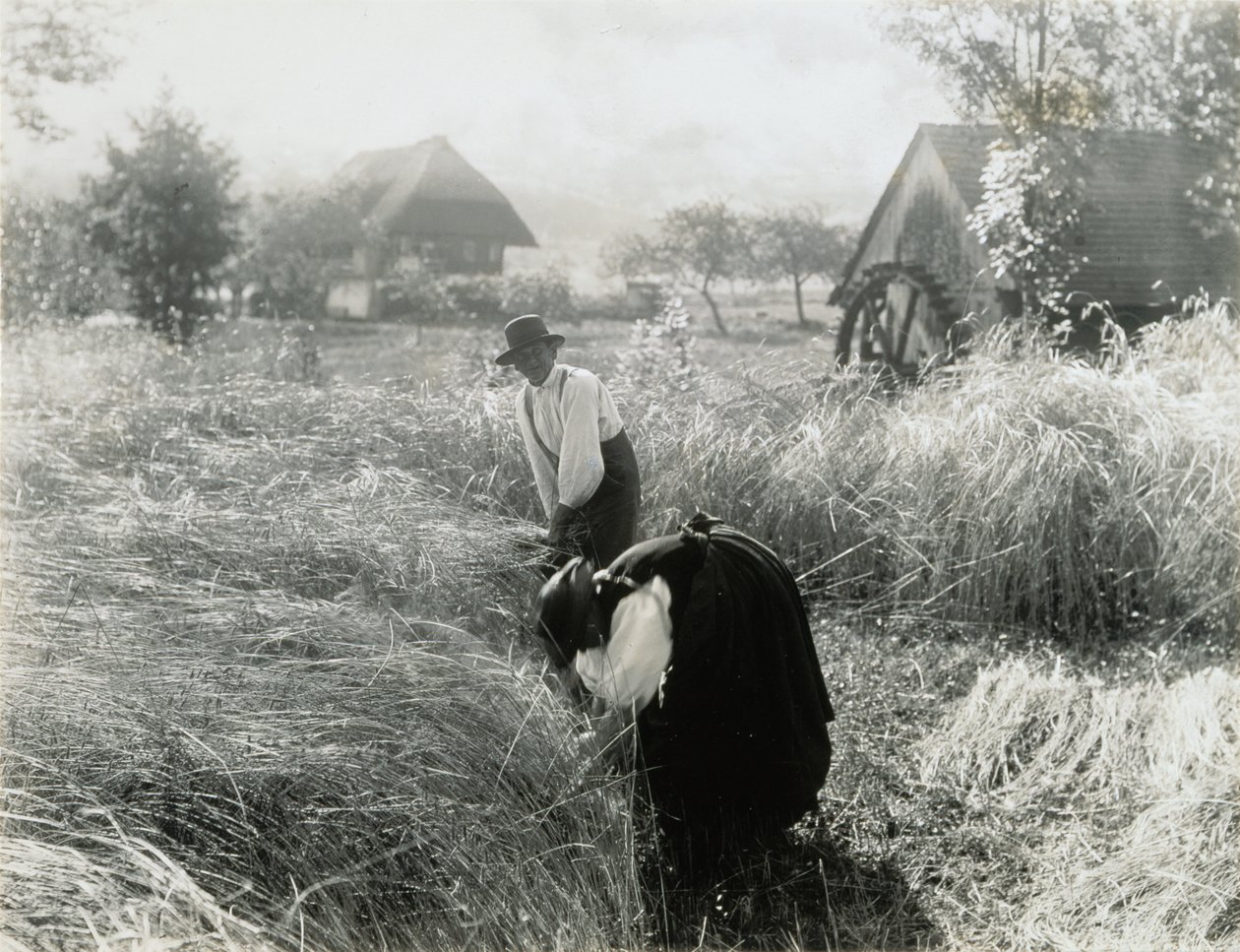 Varhainen aamu tekijältä Alfred Stieglitz