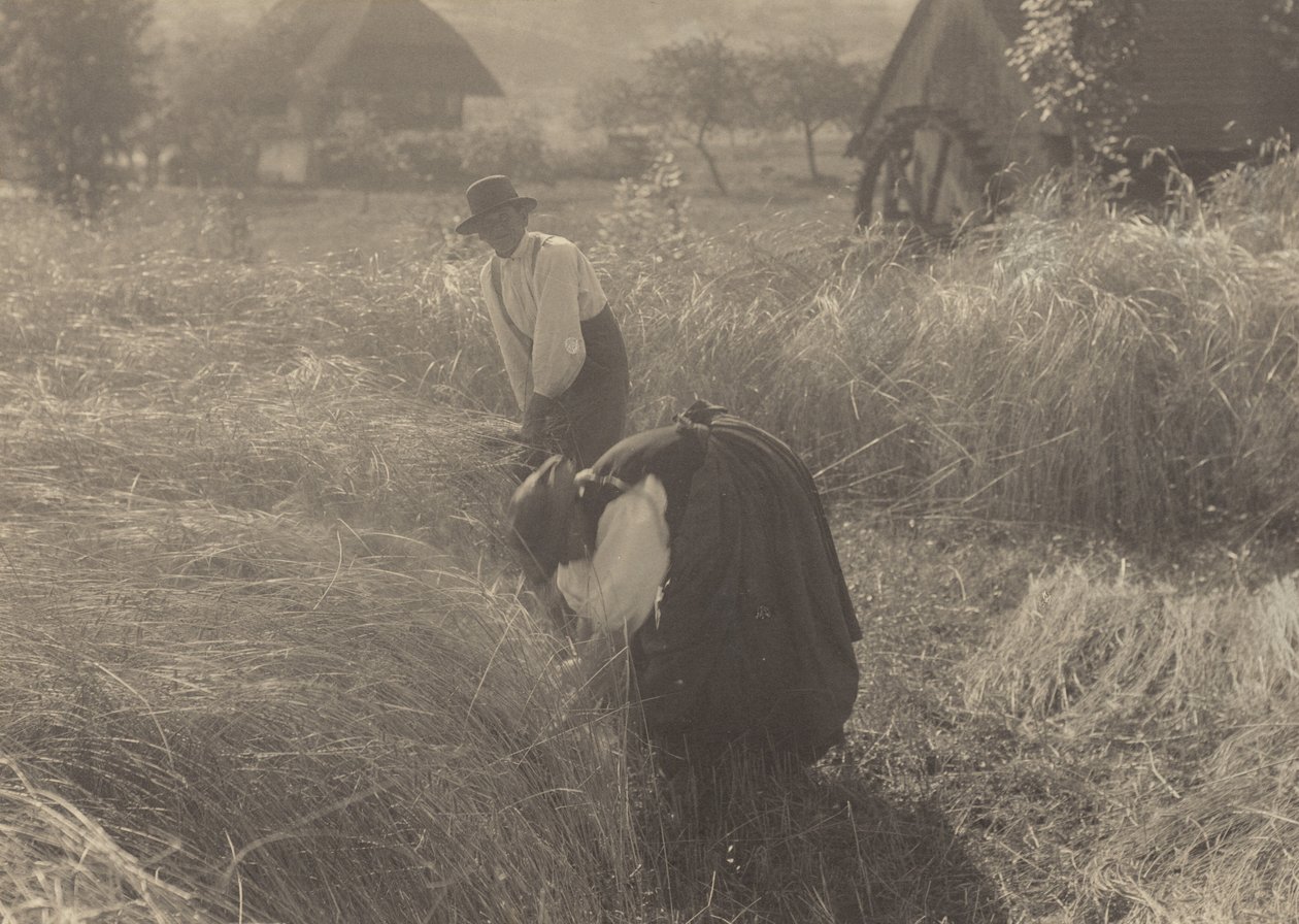 Varhainen aamu tekijältä Alfred Stieglitz
