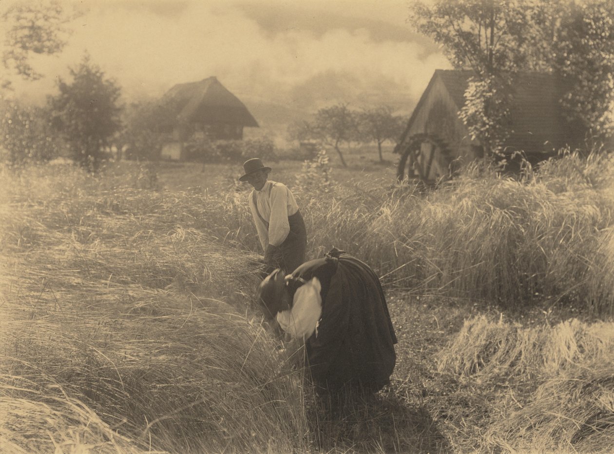 Varhainen aamu tekijältä Alfred Stieglitz