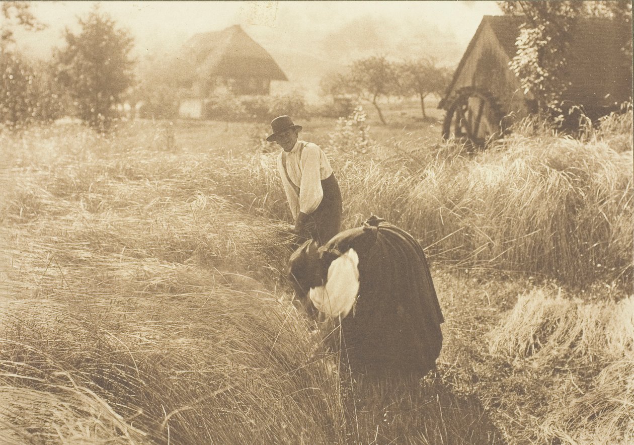 Varhainen aamu, 1894. tekijältä Alfred Stieglitz