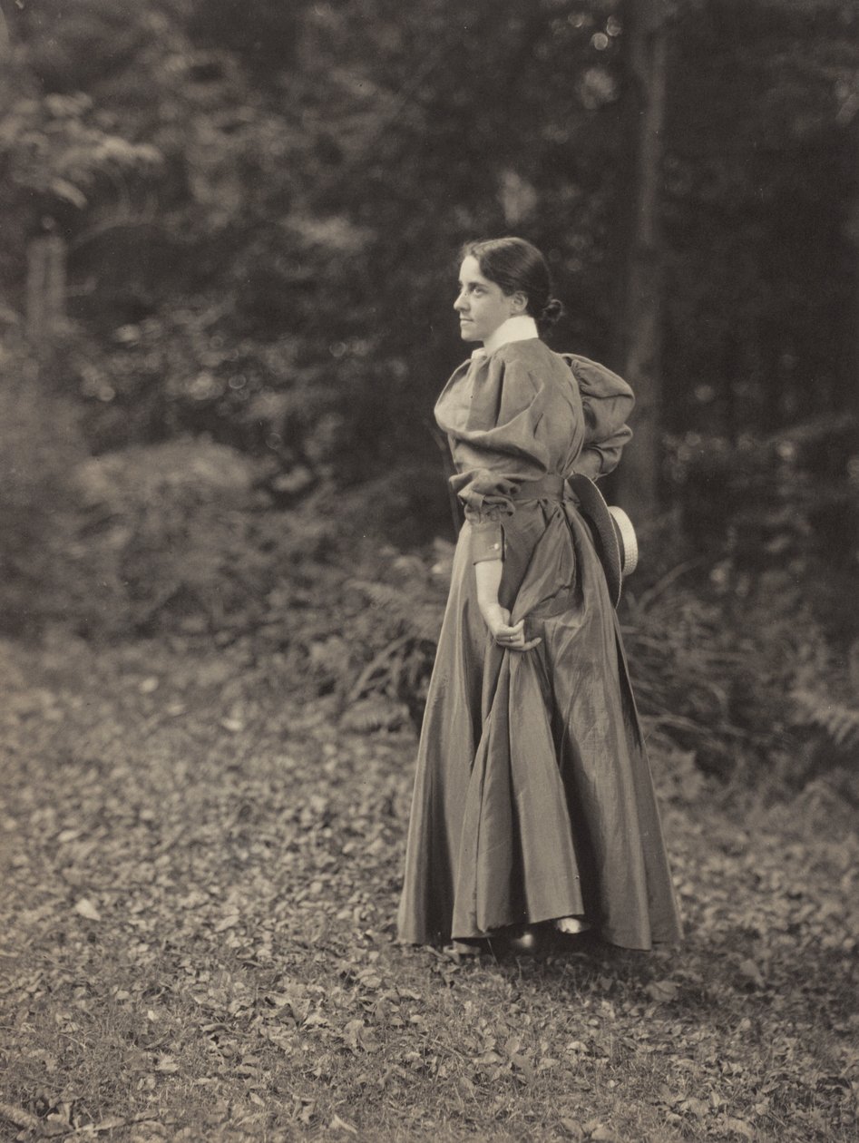Emmy Oaklawnissa, Lake George tekijältä Alfred Stieglitz