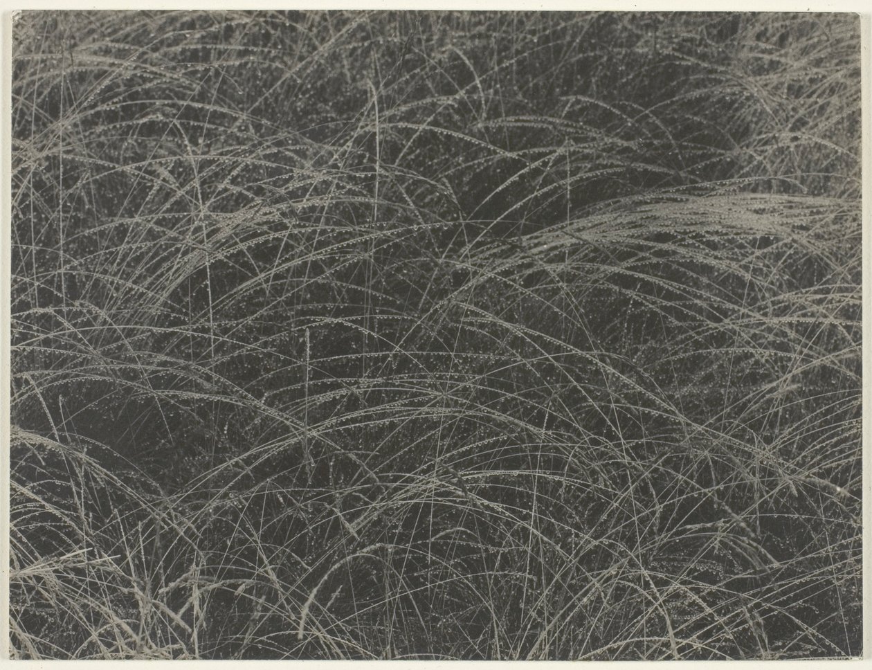 Vastaava tekijältä Alfred Stieglitz
