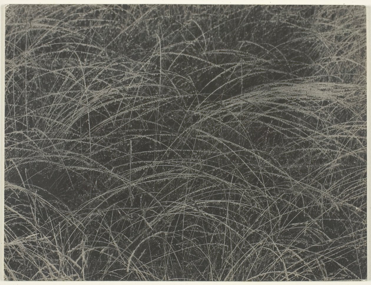 Vastaava, 1927. tekijältä Alfred Stieglitz
