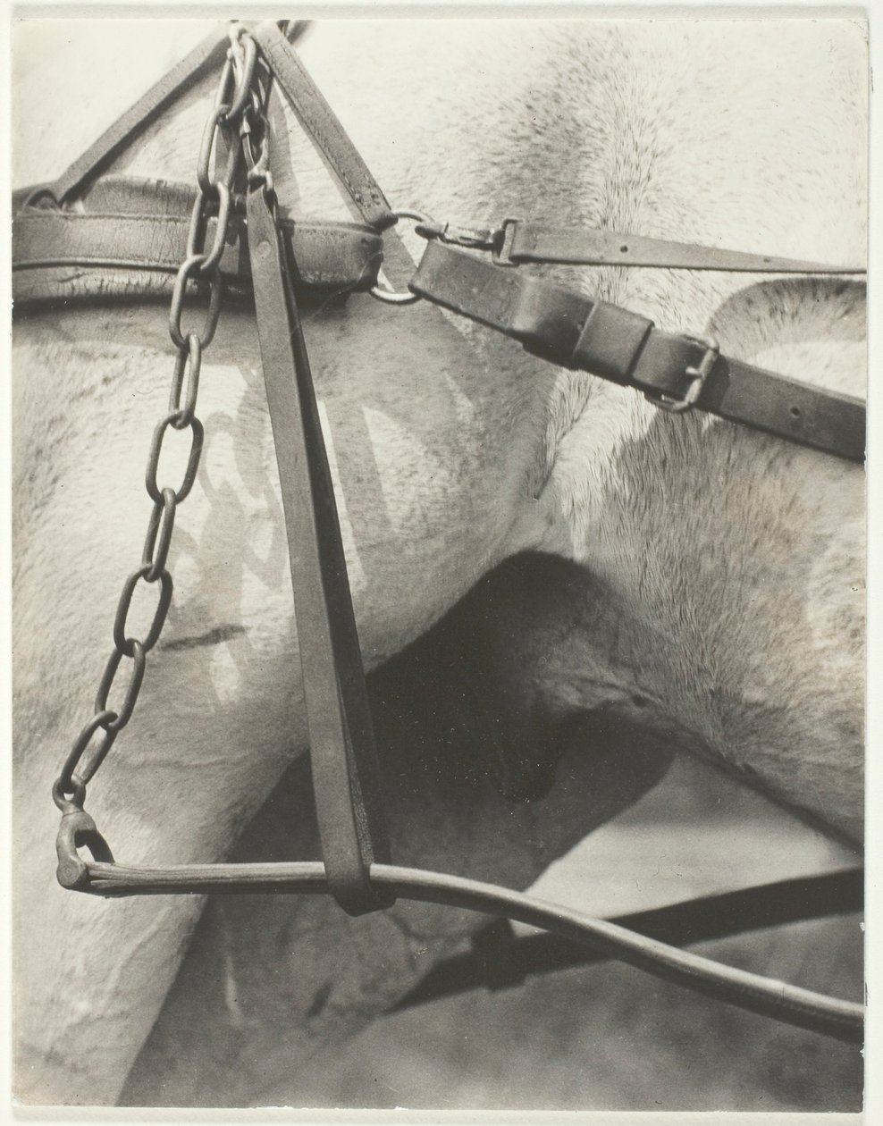 Vastaava henkinen Amerikka tekijältä Alfred Stieglitz