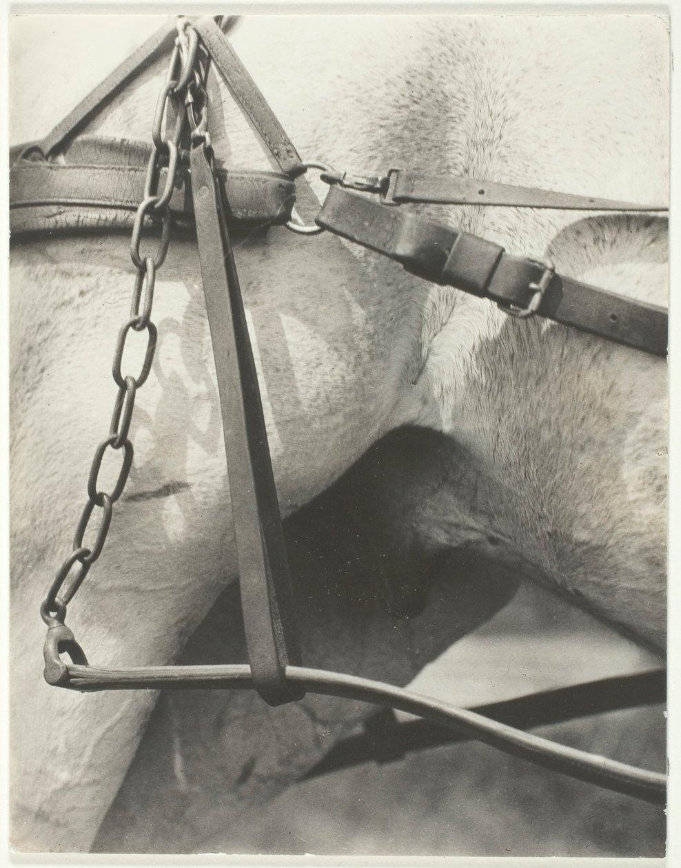 Equivalent, Amèrica espiritual, 1923. finlandès tekijältä Alfred Stieglitz