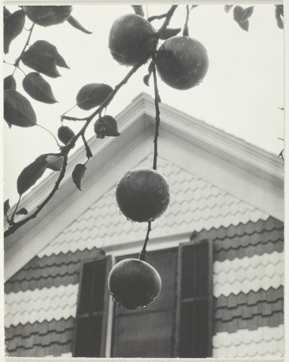 Gable ja omenat, 1922. tekijältä Alfred Stieglitz