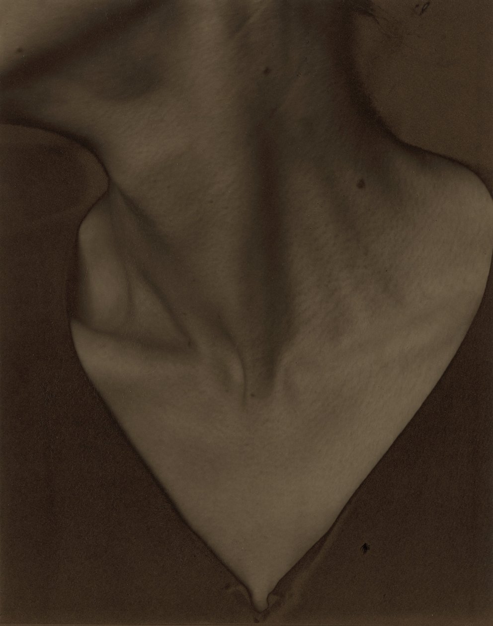 Georgia O’Keeffe – Kaula tekijältä Alfred Stieglitz