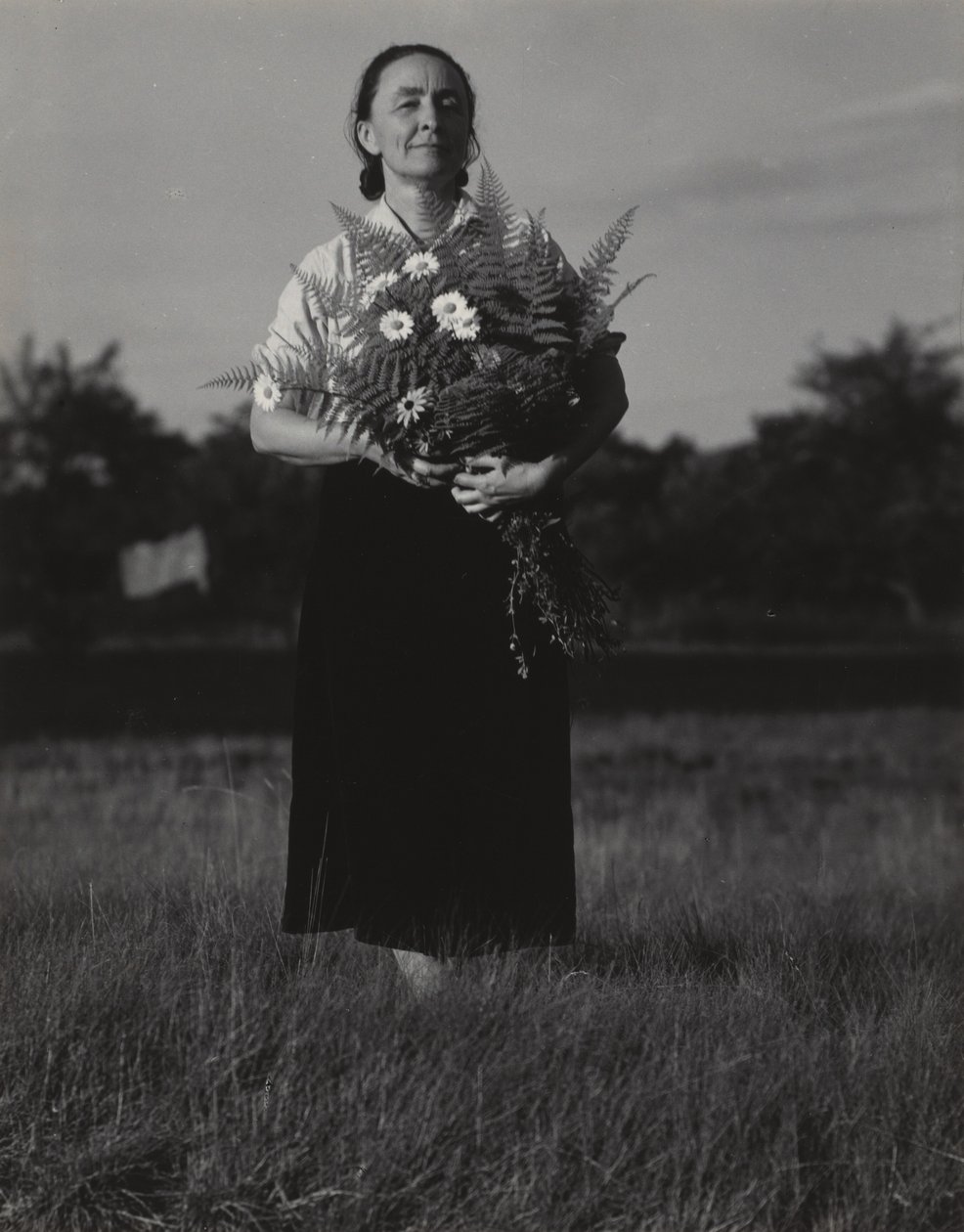 Georgia O’Keeffe tekijältä Alfred Stieglitz