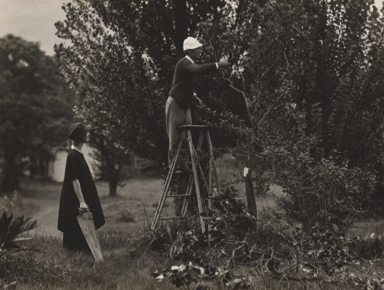 Georgia O’Keeffe ja Donald Davidson karsivat puita tekijältä Alfred Stieglitz