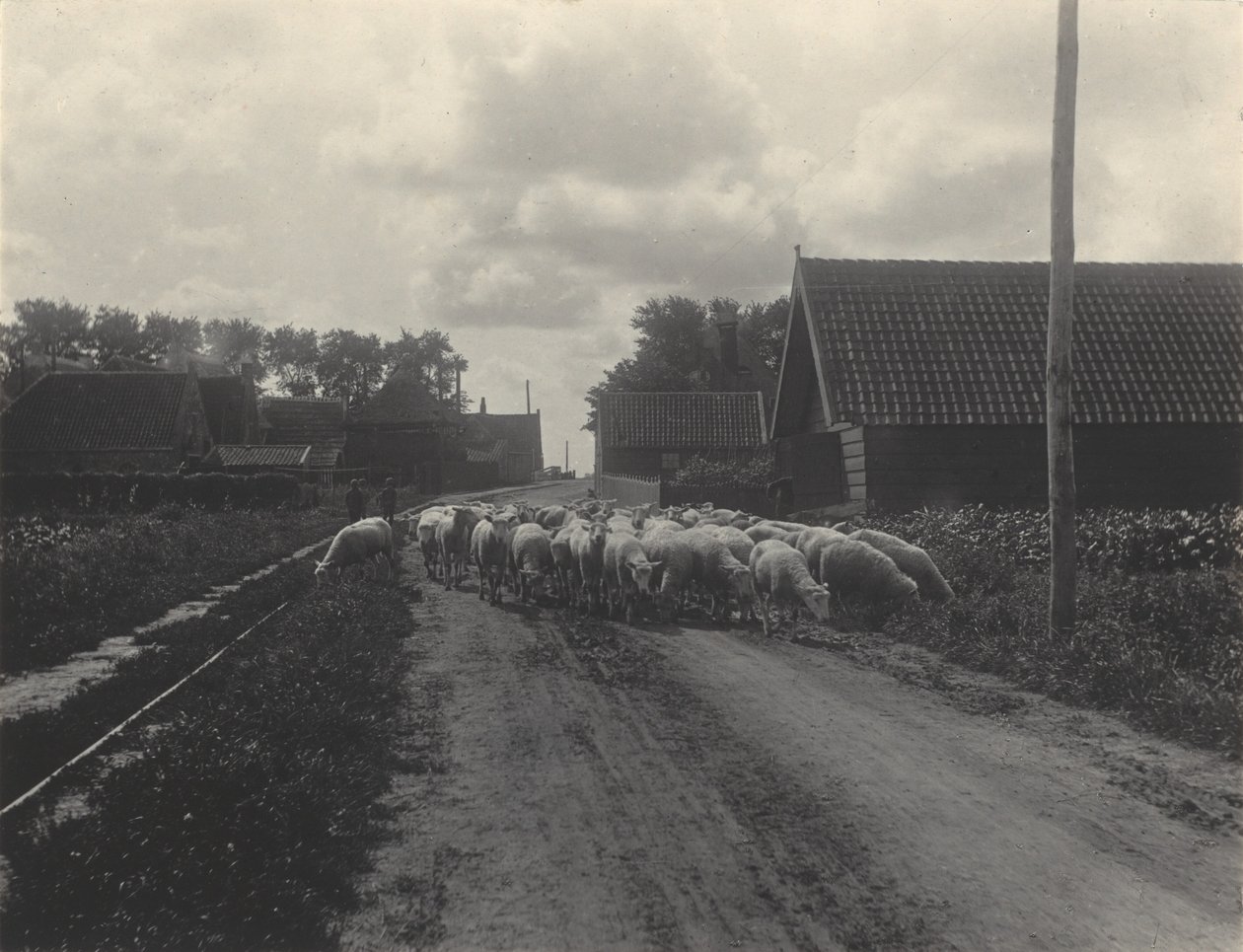 Matkalla laitumelle tekijältä Alfred Stieglitz