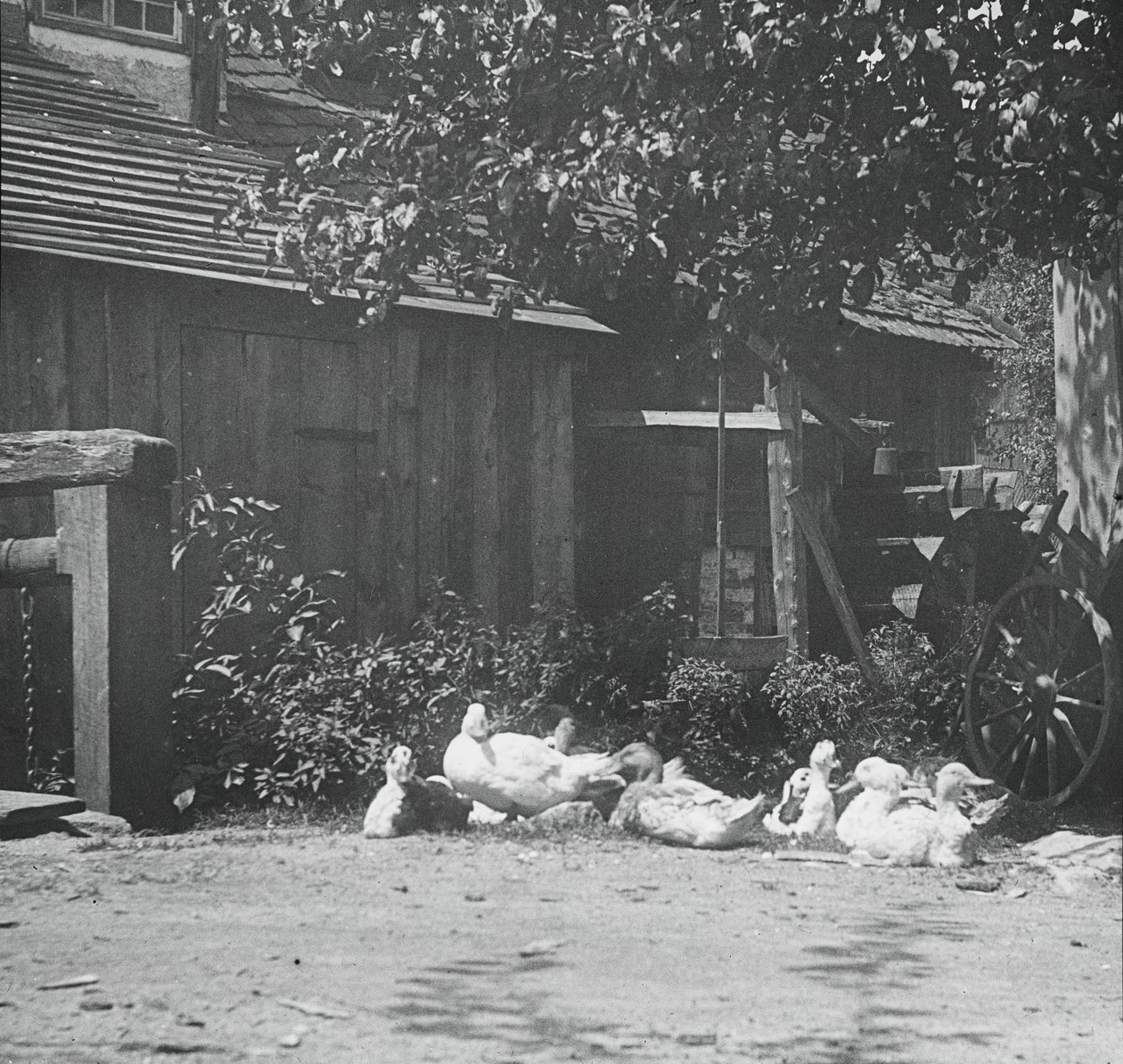 Gutach, 1894. tekijältä Alfred Stieglitz