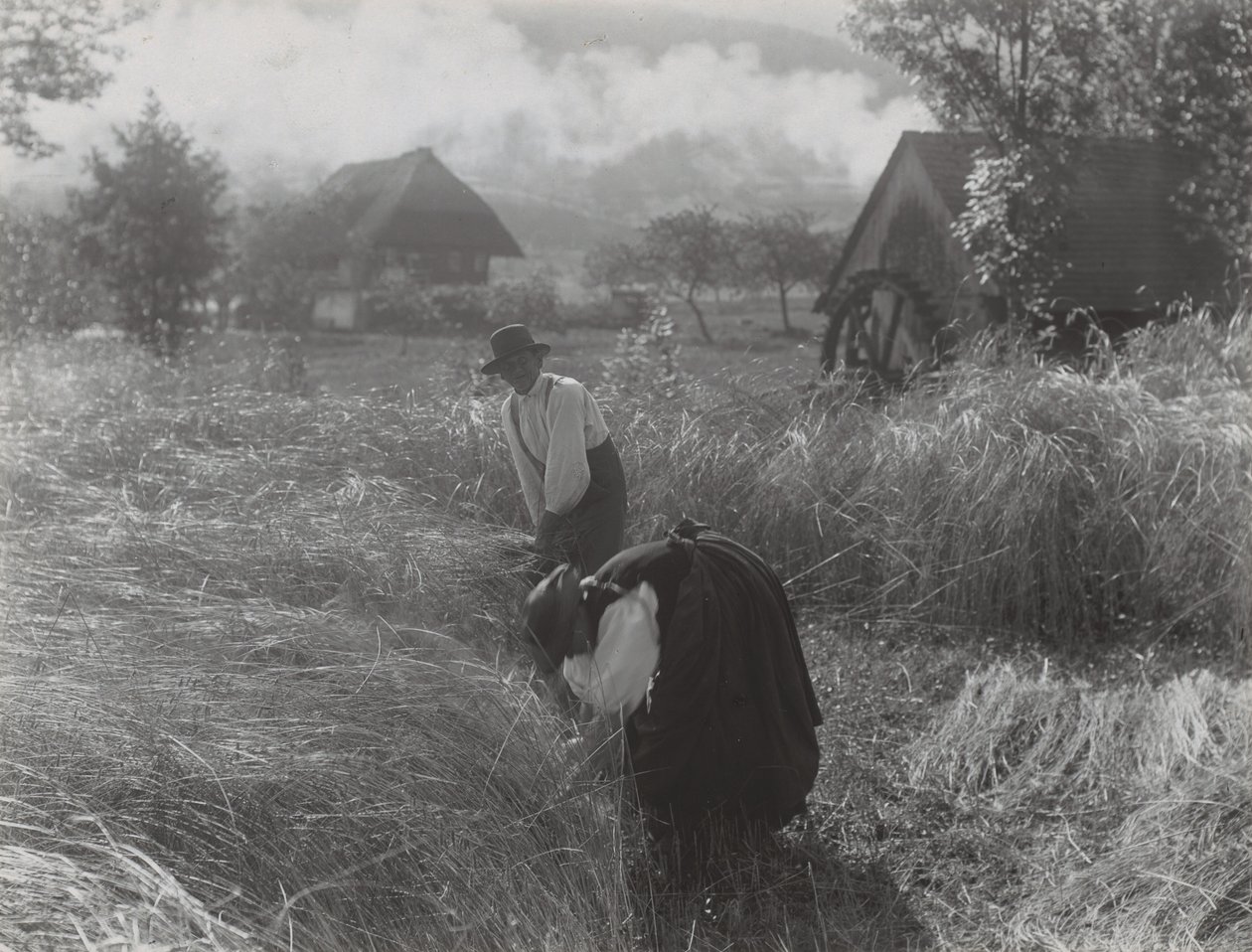 Sadonkorjuu Schwarzwaldissa tekijältä Alfred Stieglitz