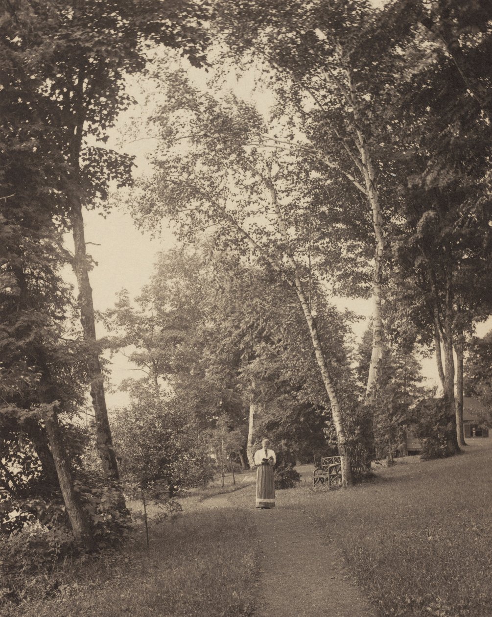 Hedwigin polku, Oaklawn, Lake George tekijältä Alfred Stieglitz