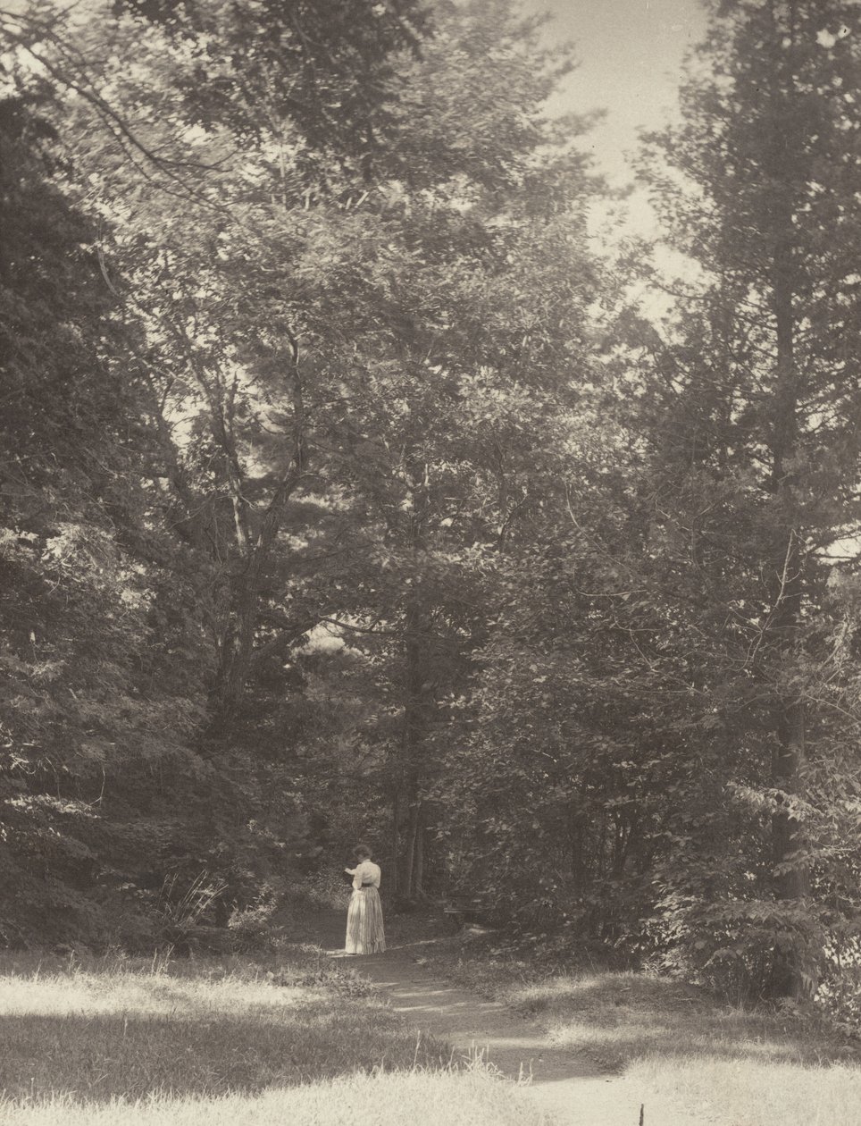 "Hedwigsweg" II, Lake George tekijältä Alfred Stieglitz