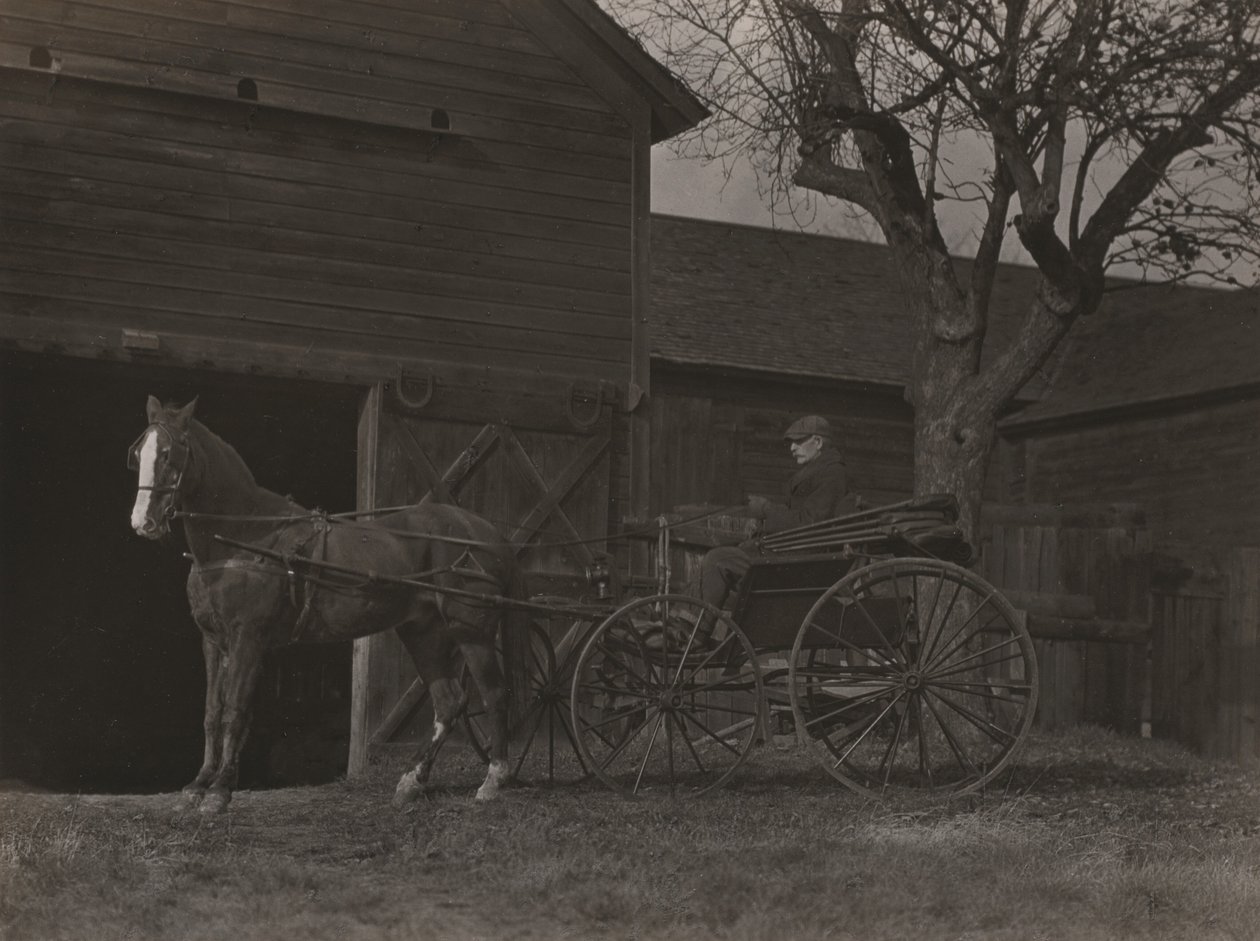 Hevonen ja vaunut tekijältä Alfred Stieglitz