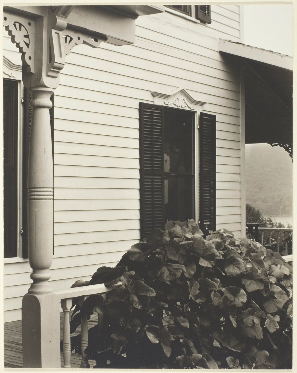 Talo ja viinirypäleiden lehdet tekijältä Alfred Stieglitz