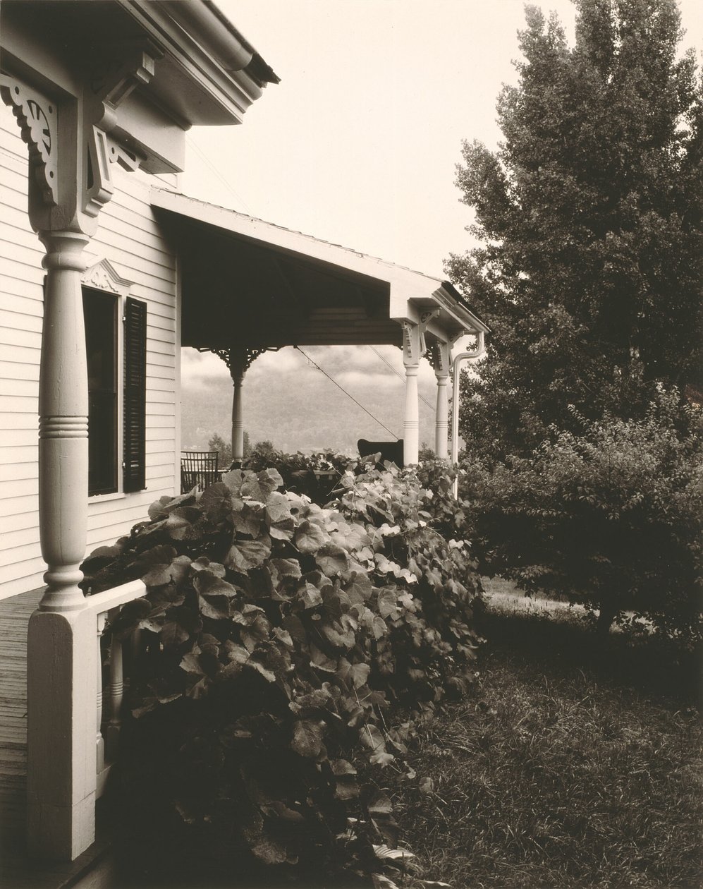 Talo ja viinirypäleiden lehdet tekijältä Alfred Stieglitz